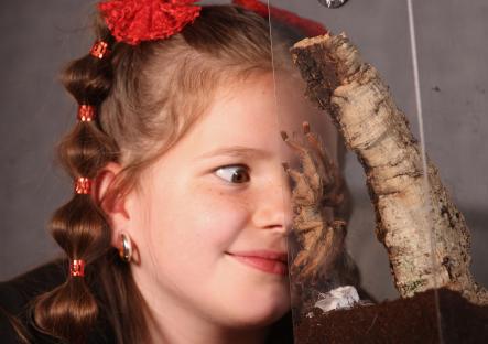 Girl, 9, catches pet bug by keeping 122 ‘cute’ tarantulas in her two-bed house 6