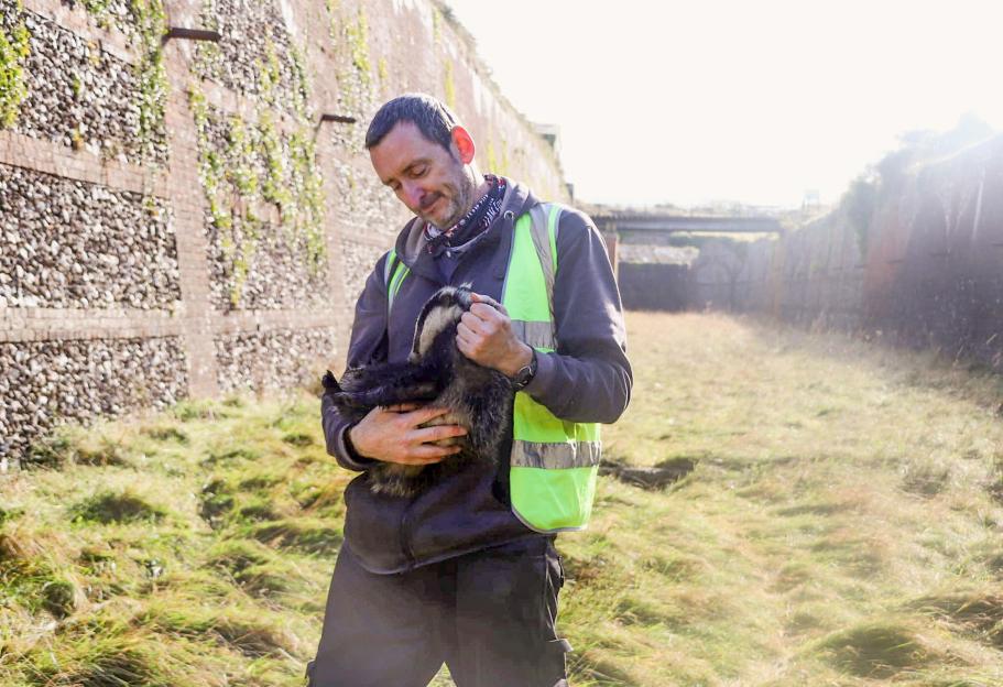Man holding rescued badger.