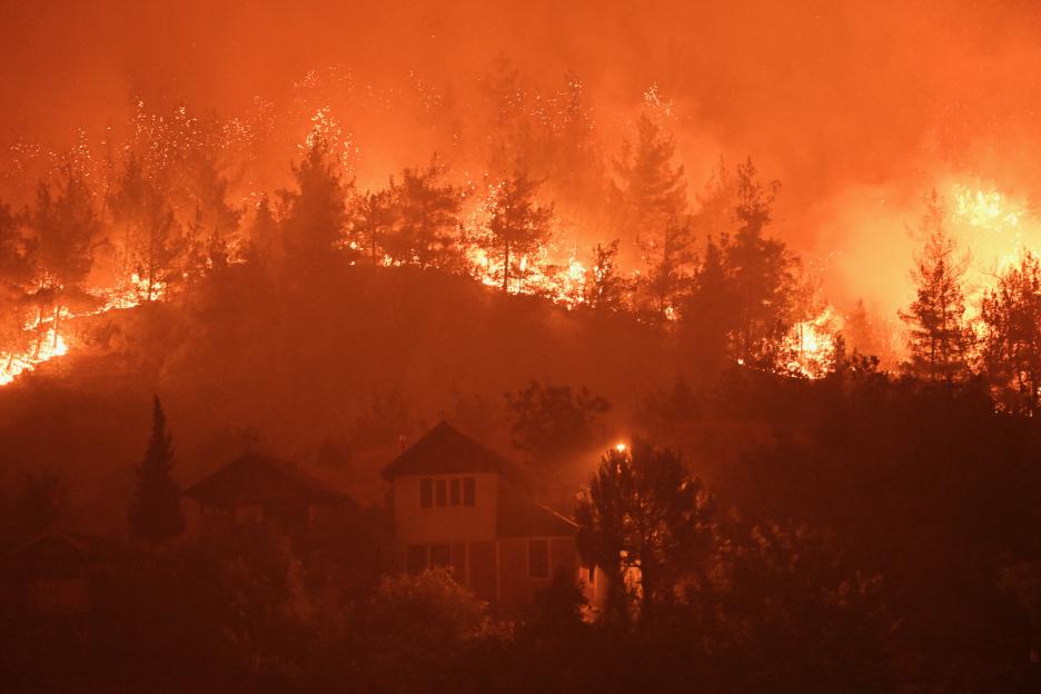 Forest fire near homes at night.