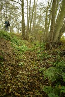 A cameraman films a wooded area where bodies were found.