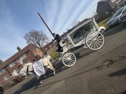Horse-drawn hearse at a funeral.