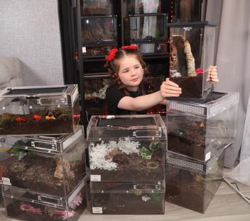 Girl with many tarantula terrariums.