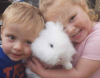 Two young children holding a white rabbit.