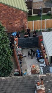 Armed police officers and two dogs in a backyard.