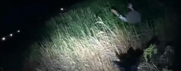Nighttime low-light image of a suspect apprehended by police K9.