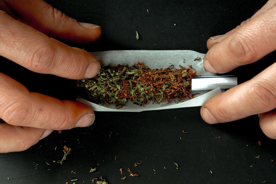 Hands rolling a cannabis joint.