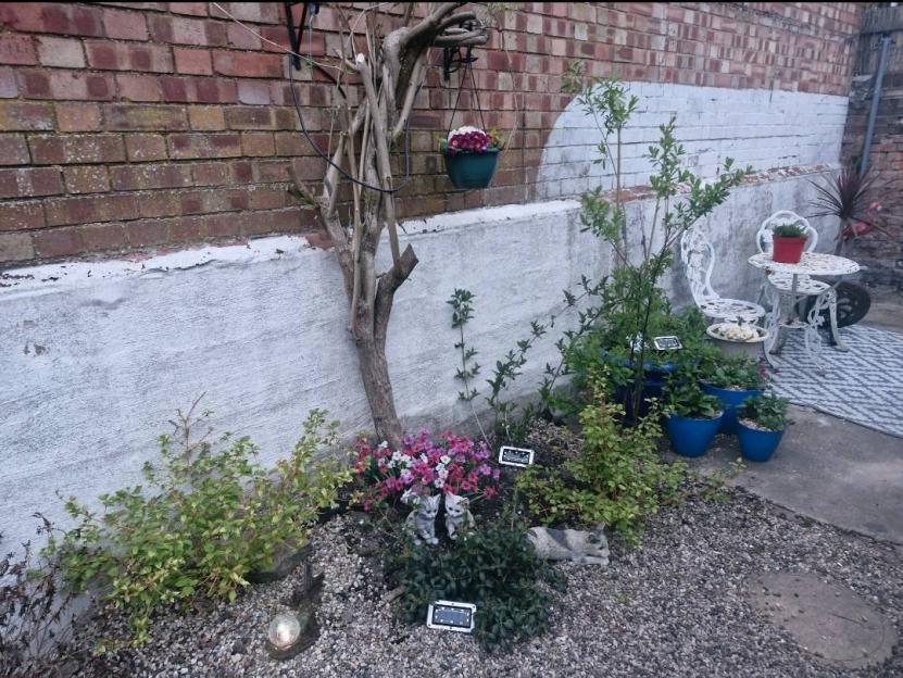 Small garden with plants, flowers, and garden ornaments.