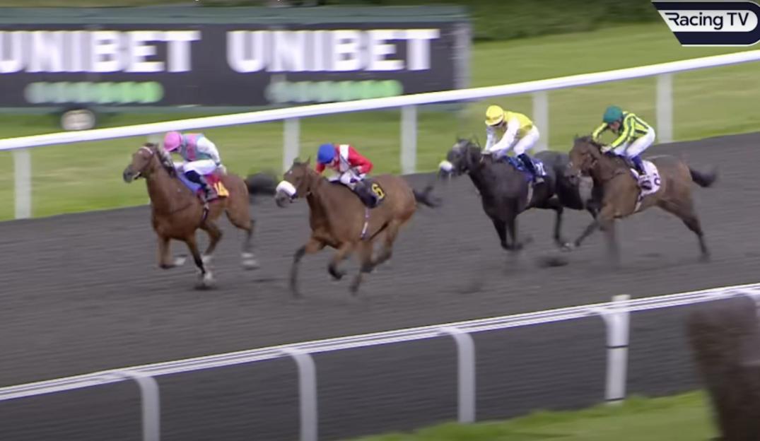 Four horses racing on a track.
