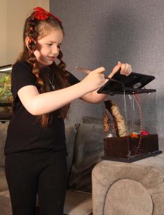 Girl tending to tarantula terrarium.