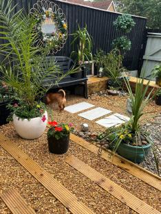 Budget-friendly garden makeover with gravel pathway, wooden planks, and potted plants.