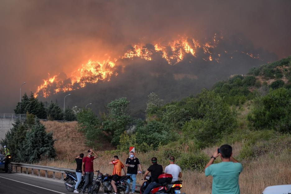 Forest fire burning hillside with onlookers watching from a road.