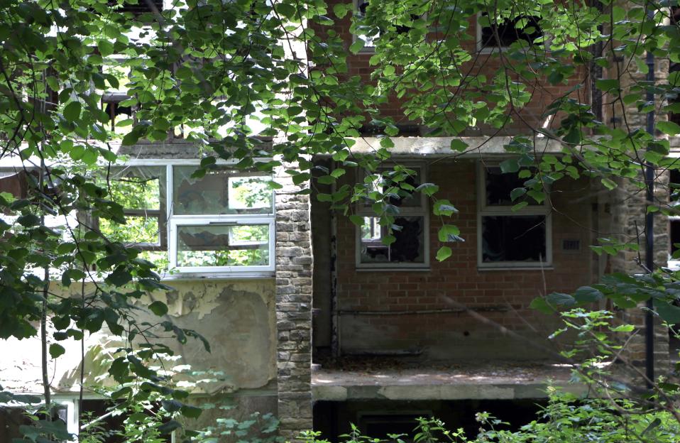Overgrown derelict building.