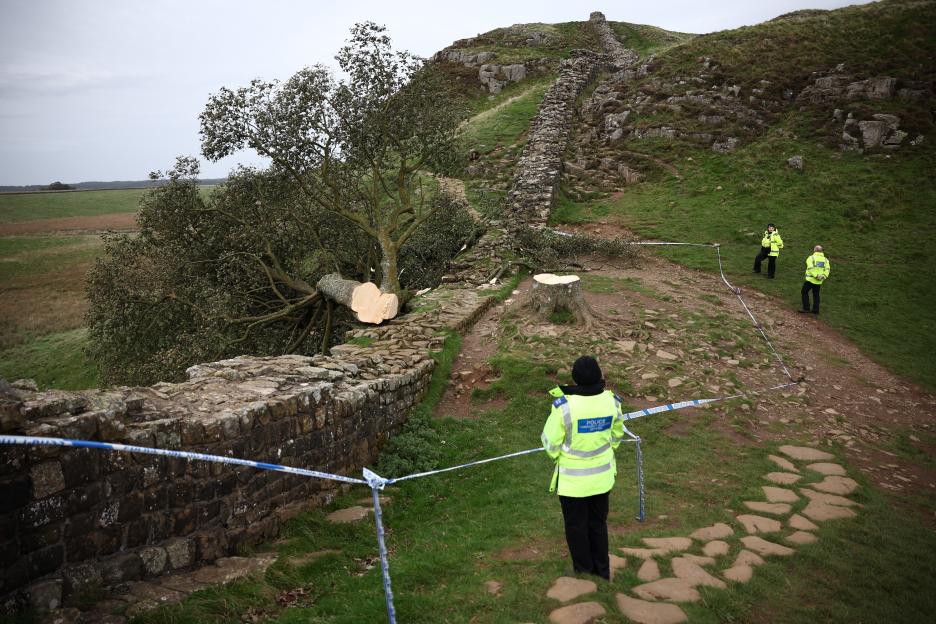 Police officers at the scene of a felled tree near Hadrian's Wall.