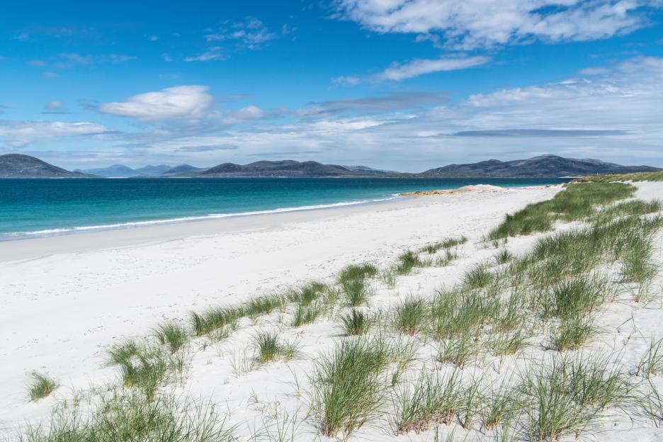 White sand beach with turquoise water and green grasses, mountains in the background.