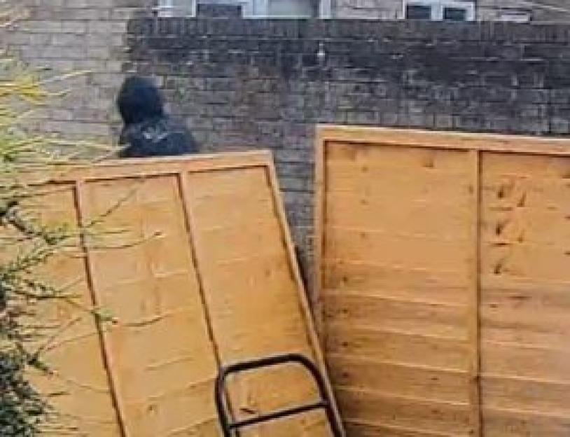 Person in hooded jacket near fallen fence panels.