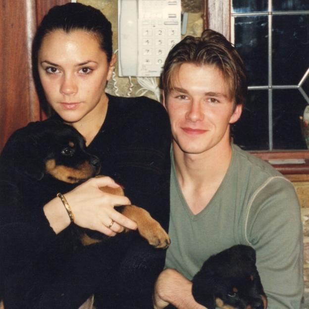 Throwback photo of David and Victoria Beckham with two Rottweiler puppies.