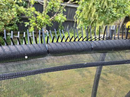 Bird spikes attached to a trampoline net.