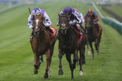 Two jockeys racing horses.