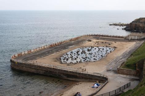 Abandoned seaside swimming pool in Tynemouth.