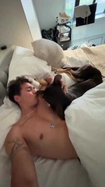 Man cuddling with his dog in bed.