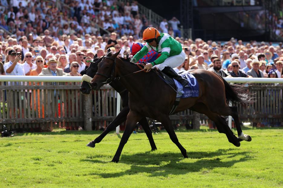 Two horses racing at Newmarket Racecourse.