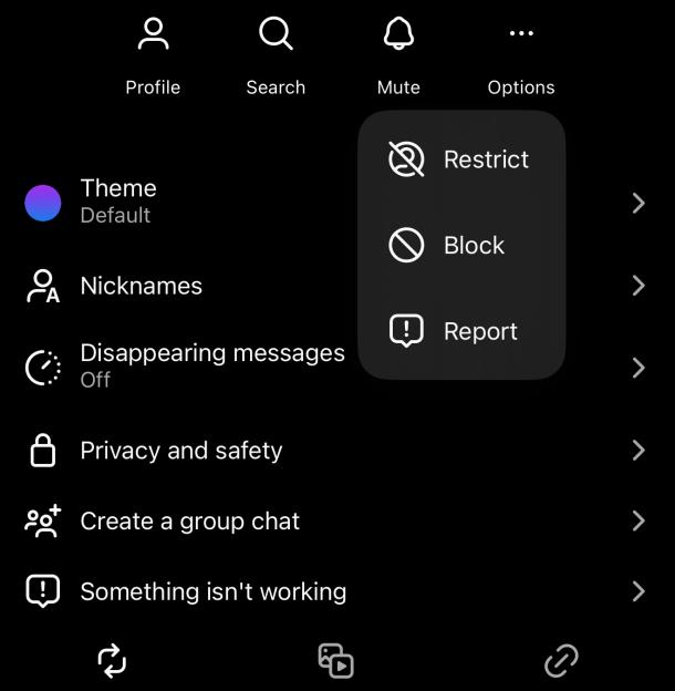 Screenshot of app settings, including options to restrict, block, and report users.