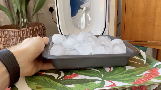 Hand holding a tray of ice cubes.