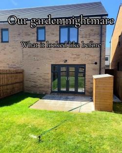 Before photo of a garden ravaged by pests.