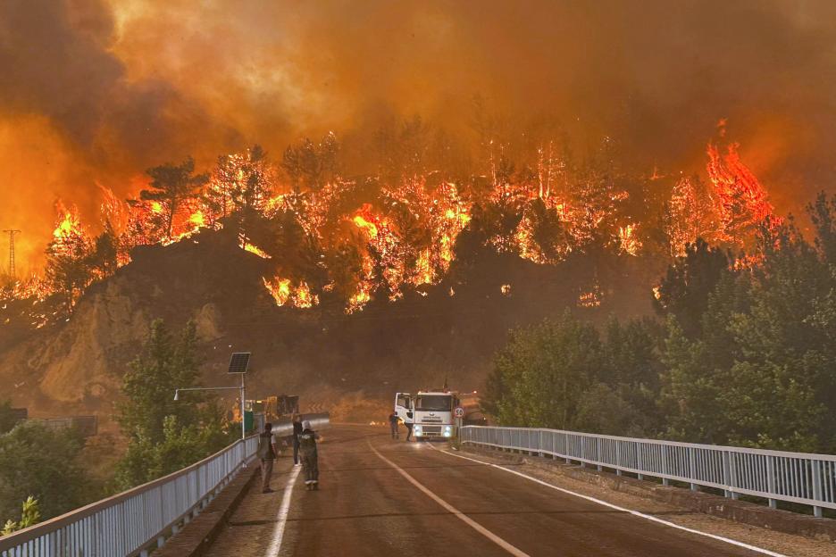 Wildfire raging through a forested area near a road.