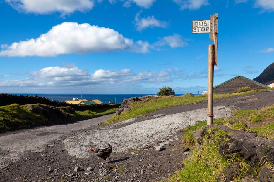 Bus stop on Tristan da Cunha with a chicken.