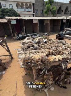 Voodoo market in Ouidah, Benin, selling charms and fetishes.
