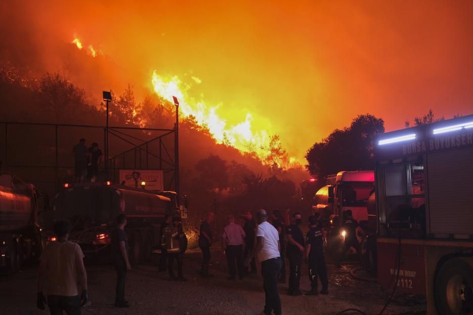 Firefighters and residents battling a wildfire.