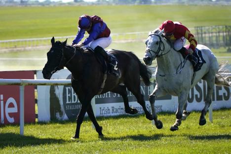 Two horses racing at Curragh Racecourse.