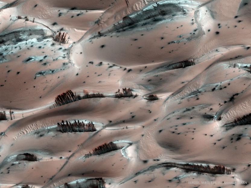 Mars sand dunes with dark streaks resembling trees.