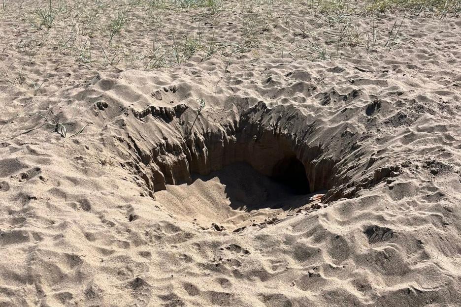 A 6ft deep hole filled in on a beach.