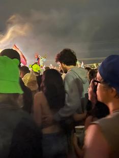 Lorde and her boyfriend at a concert.