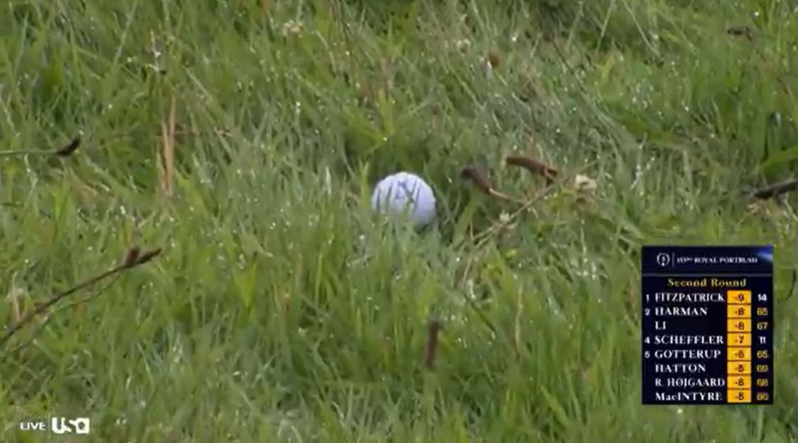 Golf ball in the grass with leaderboard.