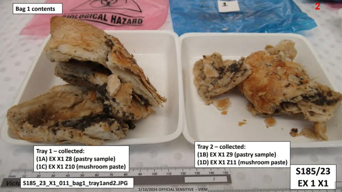 Two trays of pastry samples and mushroom paste.