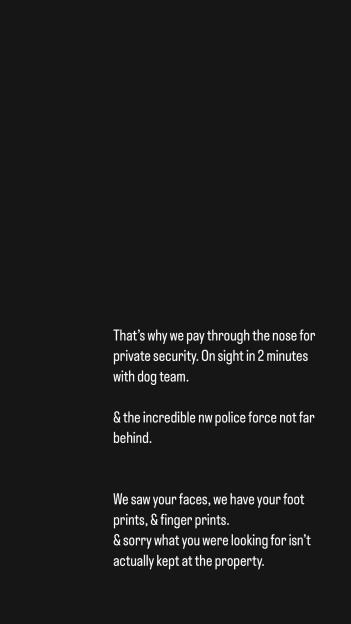 Message about a home break-in, stating that the perpetrators were caught on camera and their prints were collected.
