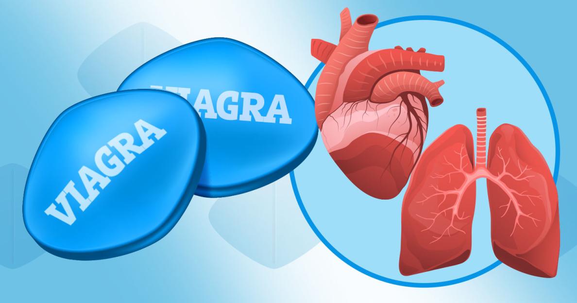 Illustration of Viagra pills with a heart and lungs.