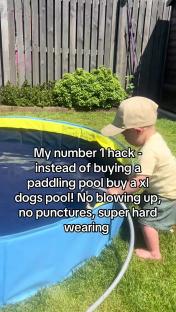 Toddler playing in a large blue dog pool.