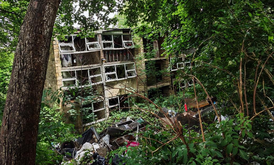 Overgrown derelict building with broken windows.