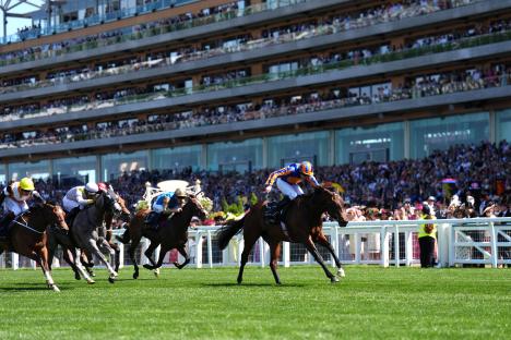 Horses racing at Ascot Racecourse.