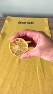 Hand holding a lemon half.