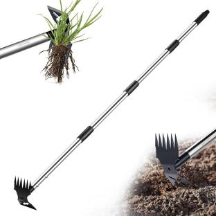 Long-handled weed puller tool.