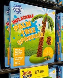 Inflatable palm tree sprinkler, £7.99.