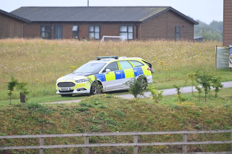 Police car with sniffer dogs searching for a missing woman.