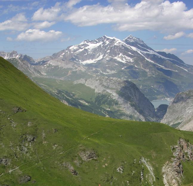 Cyclists ascending a mountain pass during a race.