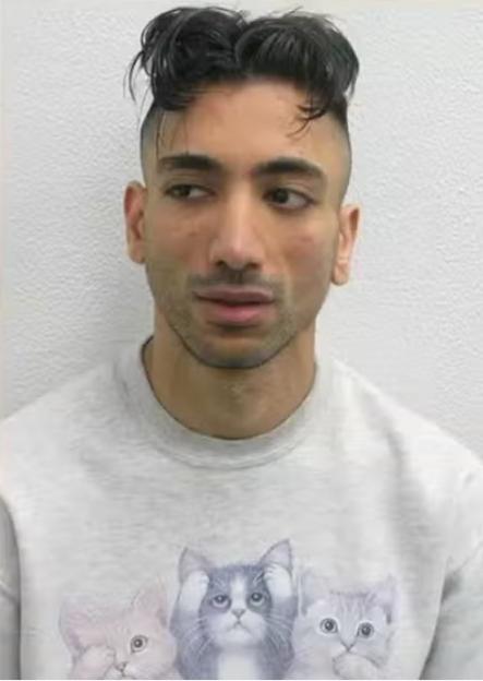 Man with unusual haircut wearing a sweatshirt with three kittens.