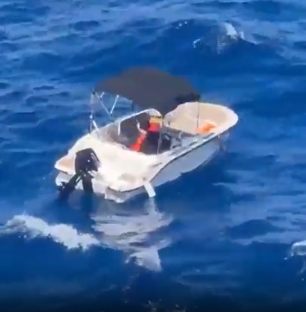 Small motorboat on the ocean with dolphins nearby.